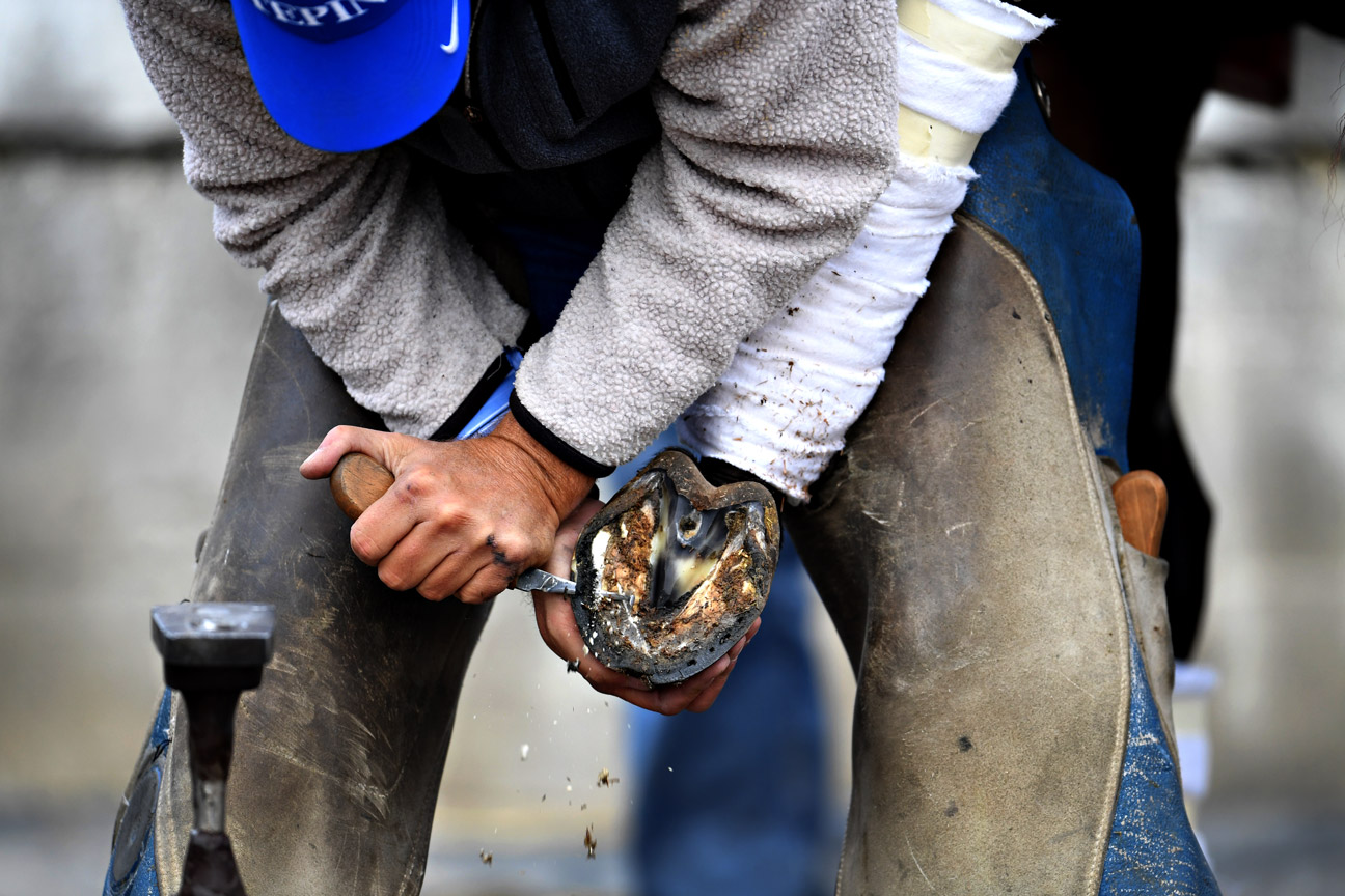 Todd Boston works on a horse outside the barns at Churchill Downs. He has spent 30 years as a farrier -- namely providing for the care of horses' hooves -- and says "it's the greatest week in horse racing for us. Might be a little quieter next week for us."