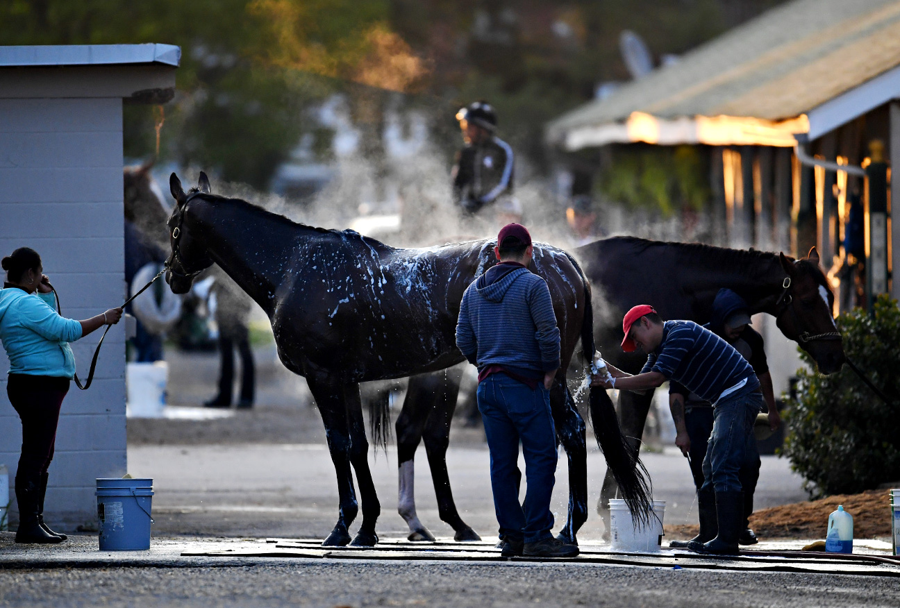 Evans Calling receives a bath from his grooms. Assistant Raphael Maldonaeo (middle, in gray) is from Chicago and has been around horses his whole life. His parents both work here as well. He's working with groom Rodrigo Vazquez and hot walker Rosa Chavez. They work on 20 horses at the Downs.