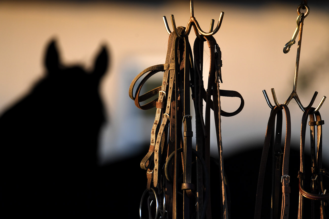 Buckled straps for horses hang outside a barn at Churchill Downs.
