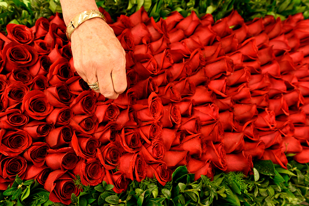 Project coordinator Cathy Sheppard puts the finishing touches on the garland of roses that will be draped over the winning Kentucky Derby horse. The garland is hand-stitched at Kroger, a local grocery store in Louisville.