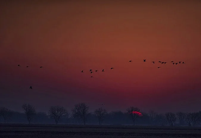 The Nebraska Project Continues