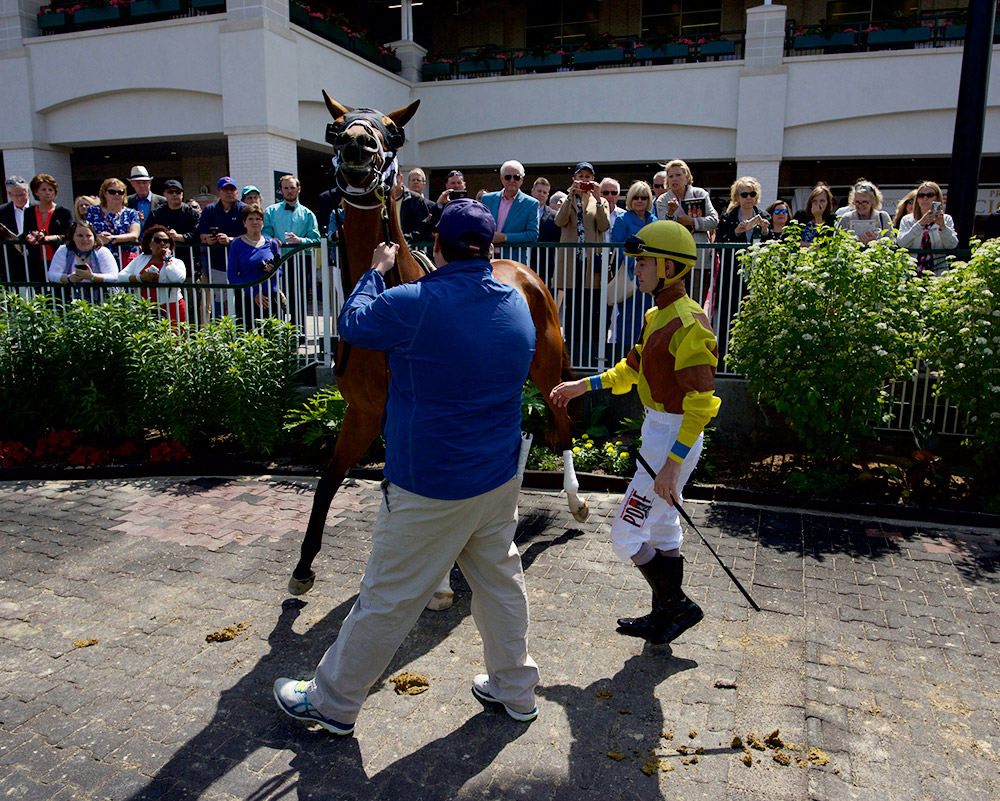 Hernandez in the paddock with his mount, I'm with Miller, before Race 7 at Churchill Downs on Tuesday. Blackberry Farm won Race 7. I'm With Miller was an also-ran.