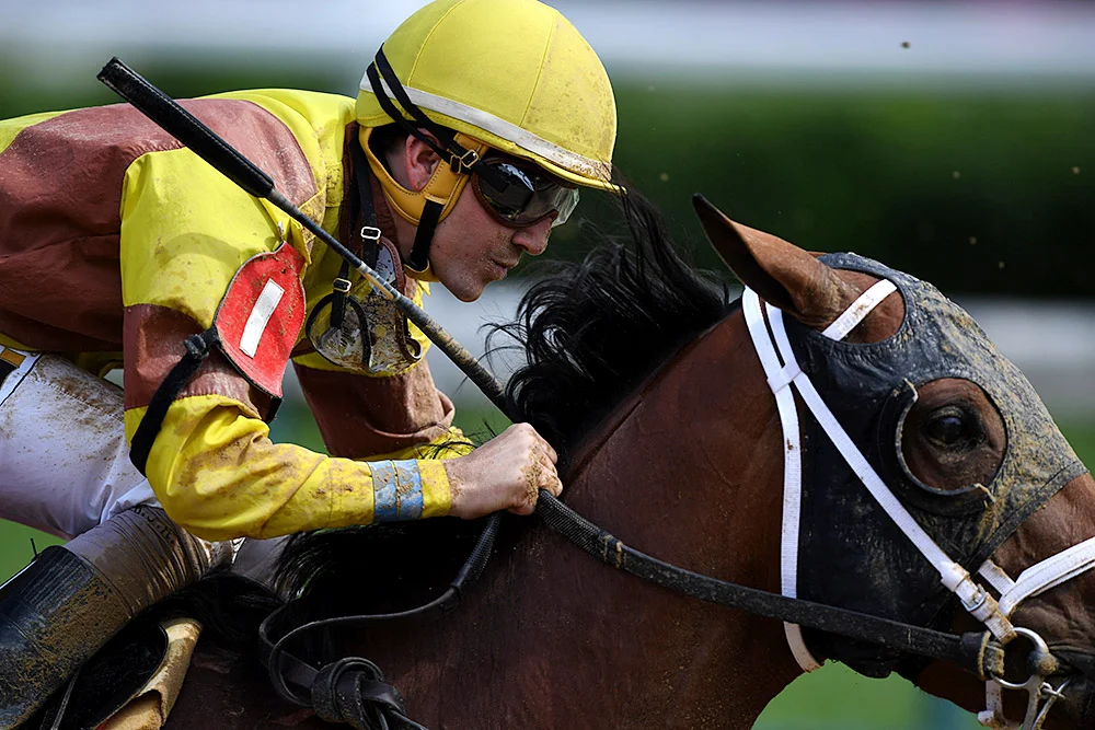 Hernandez rides I'm with Miller in Race 7 at Churchill Downs on Tuesday. Despite not adding to his win total, Hernandez is top-20 in earnings among jockeys in 2017.
