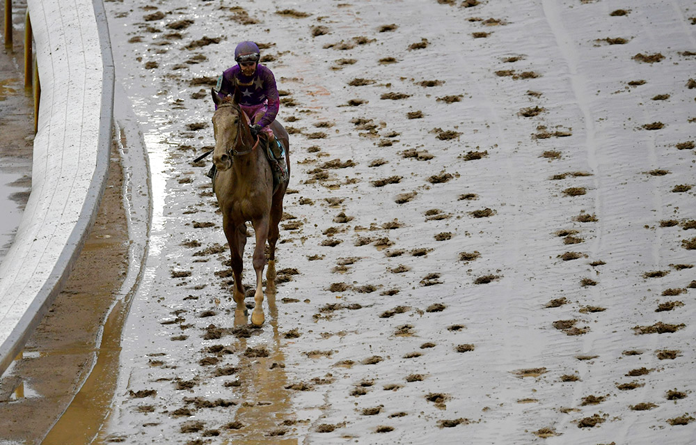 The 2017 Kentucky Oaks race at Churchill Downs on Friday. Riding Wicked Lick, Hernandez (No. 9, in the purple silk with stars) finished 13th in the Oaks.