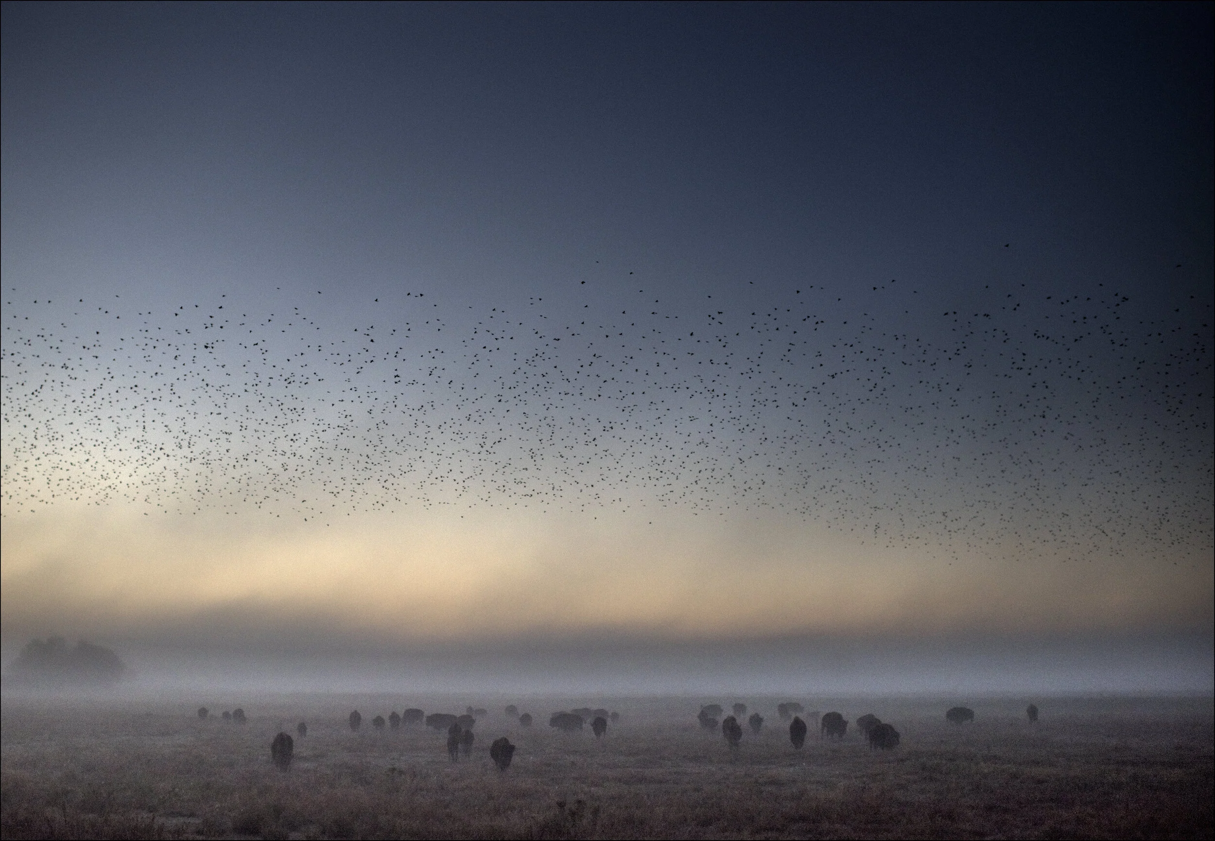  © Bill Frakes Photography / Straw Hat Visuals 2016 All rights reservedImages for a Bill Frakes gallery at Bradley University 