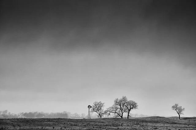 A soft rain, a calm blanket of liquid nourishment falls gently on the fallow fields.