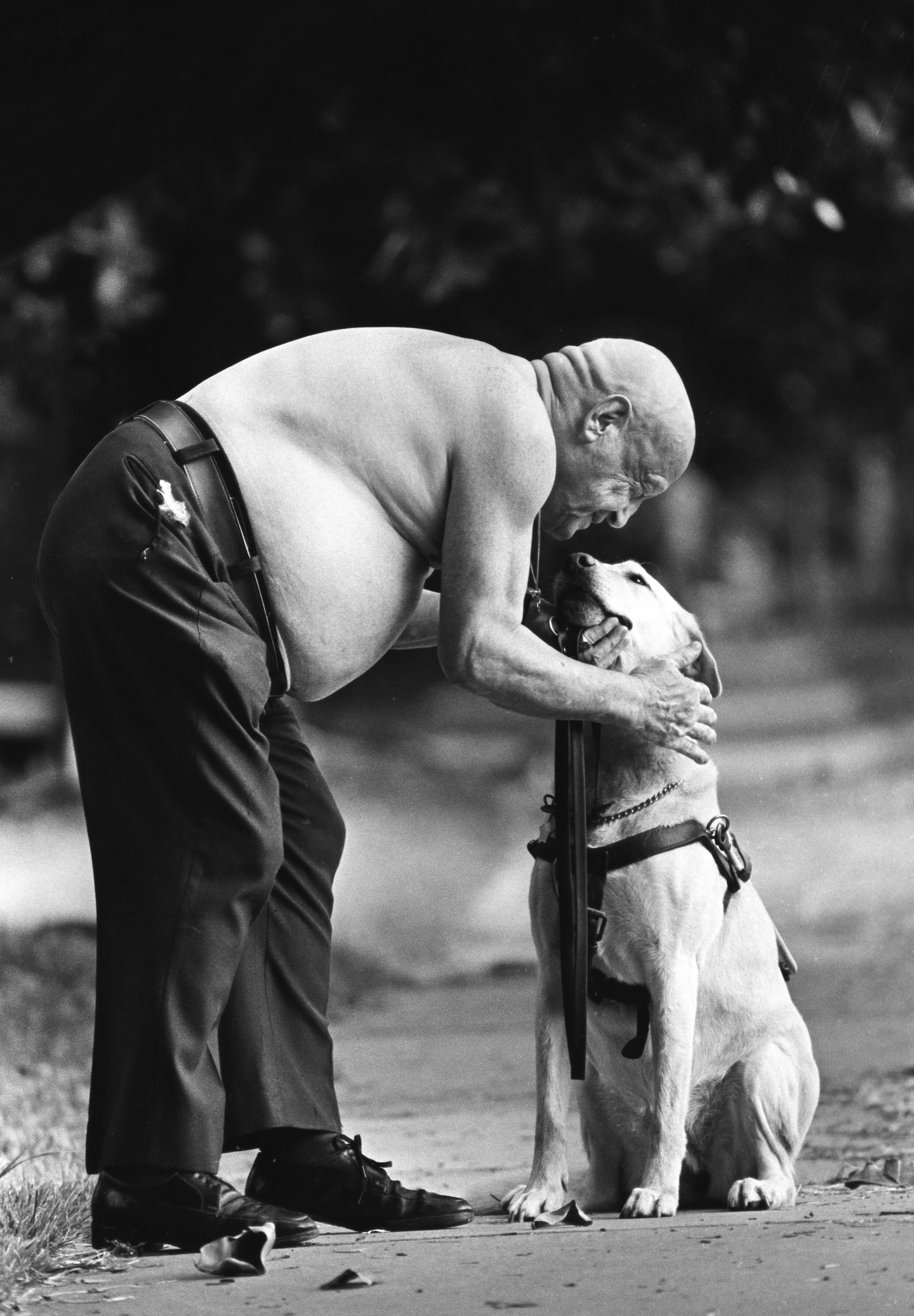  Guide dog,  Much love between them. 
