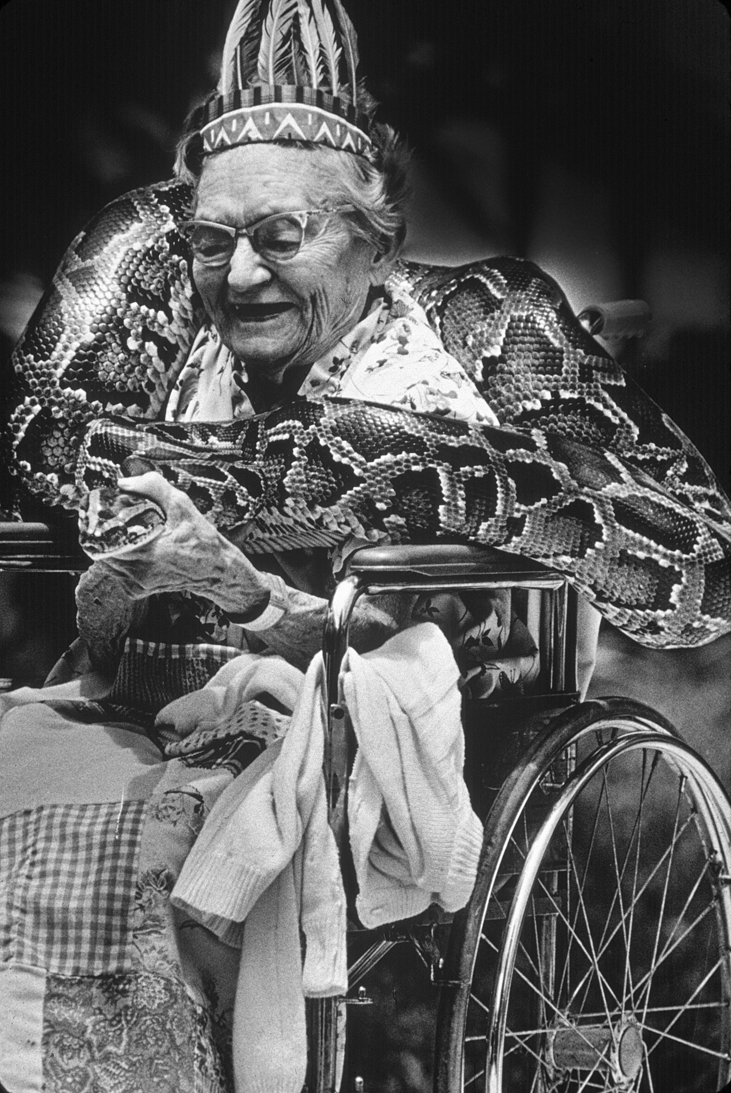  Assisted care facility pet show.  Miami 