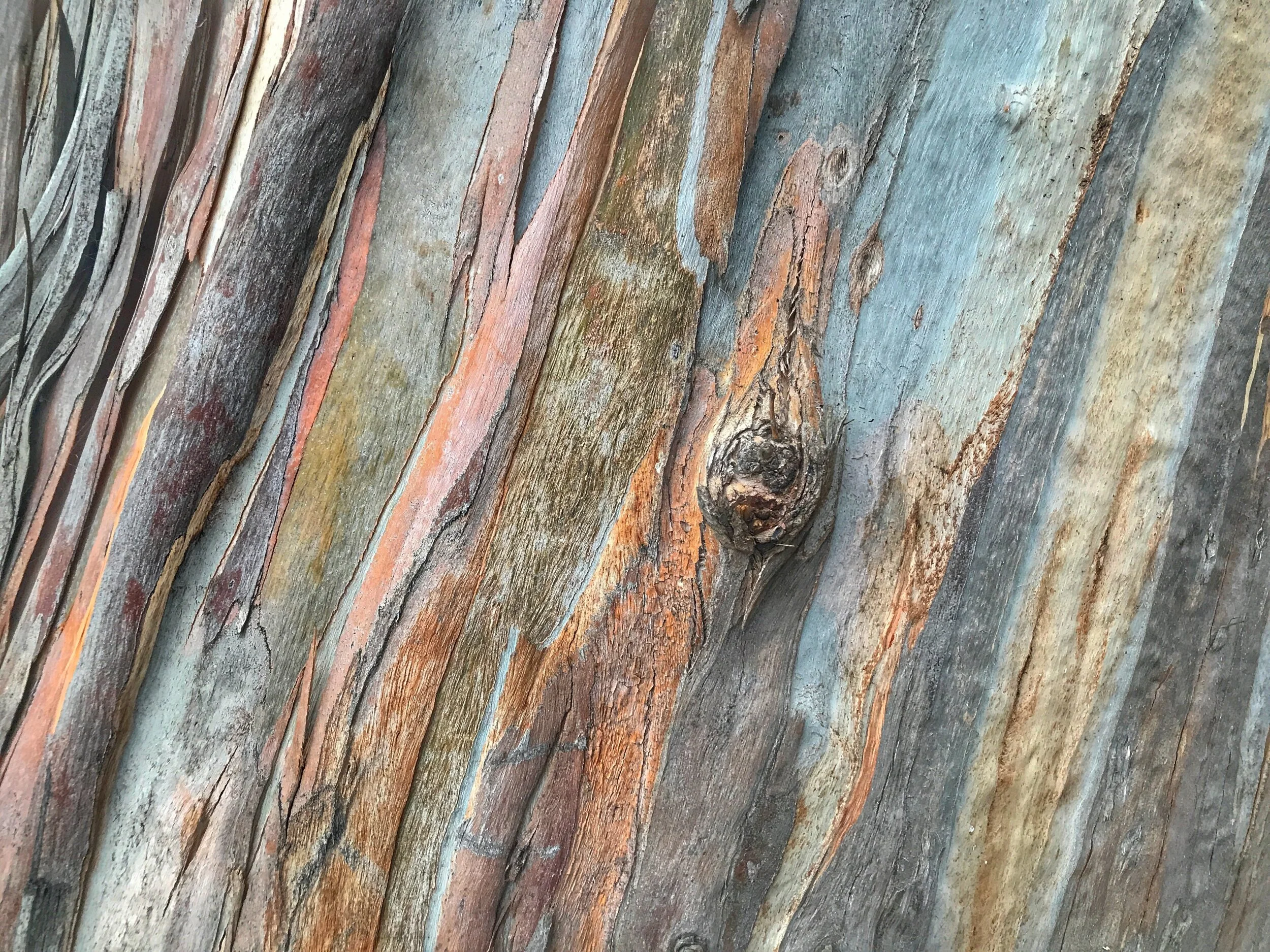  Mountain View, California.  Walk around the block. 