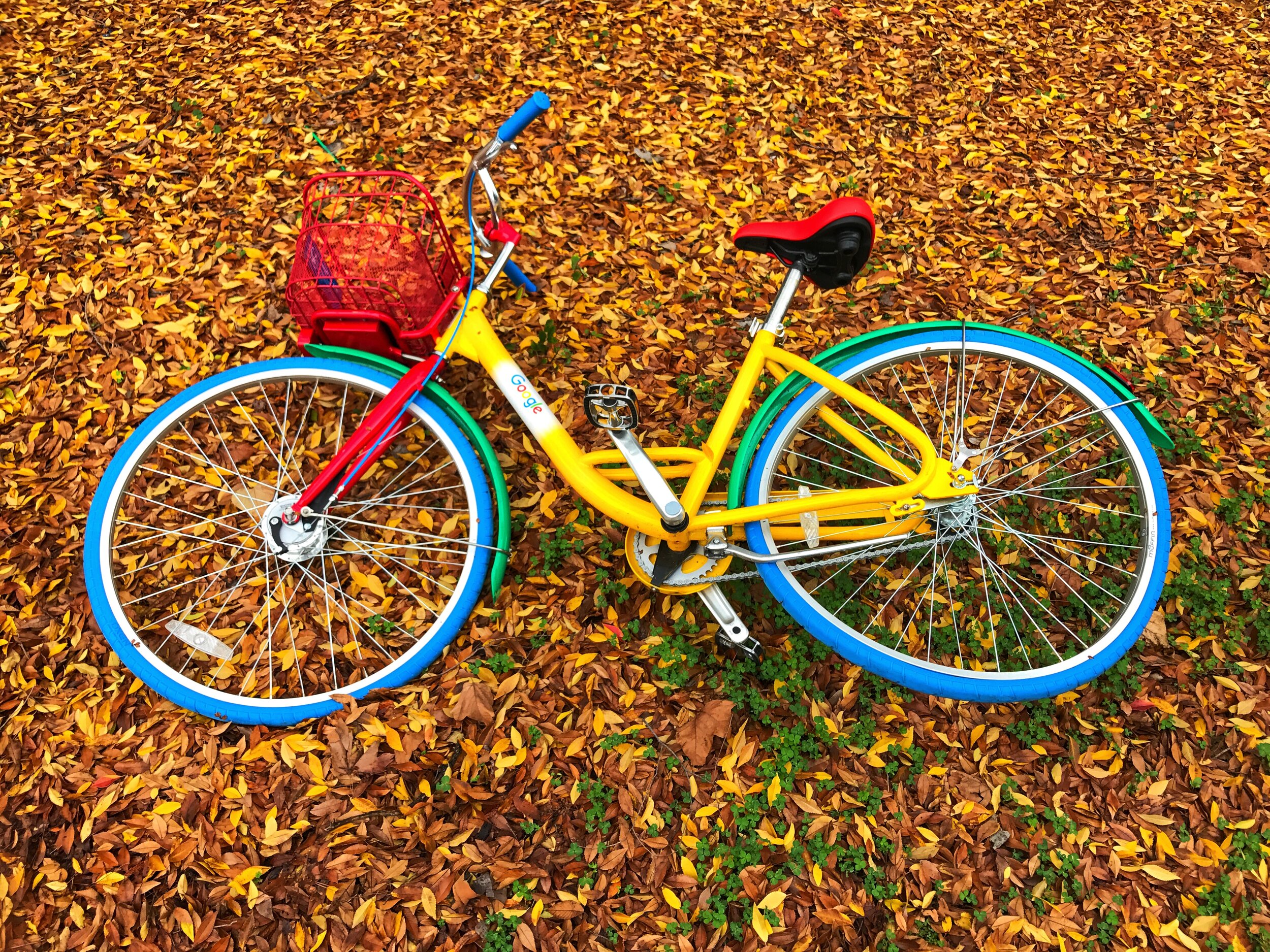  Mountain View, California.  Walk around the block.  Found still life images, done with an iPhone, on one weeks worth of strolls in the neighborhood.       