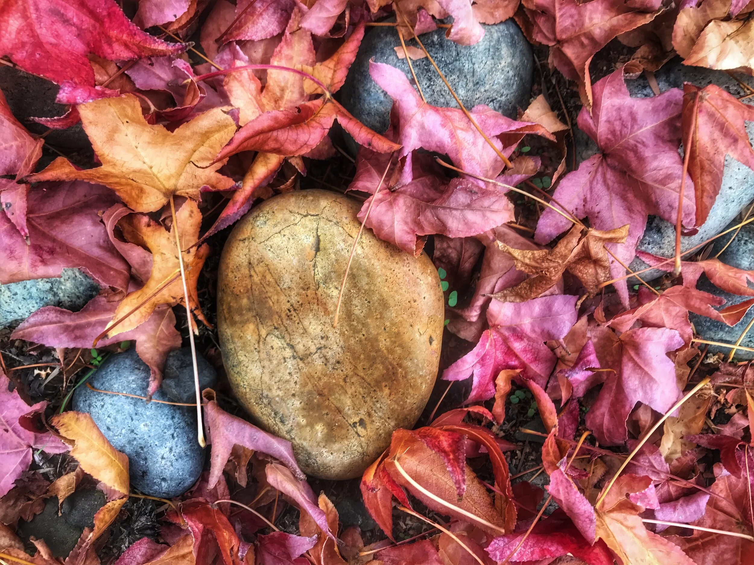  Mountain View, California.  Walk around the block. 