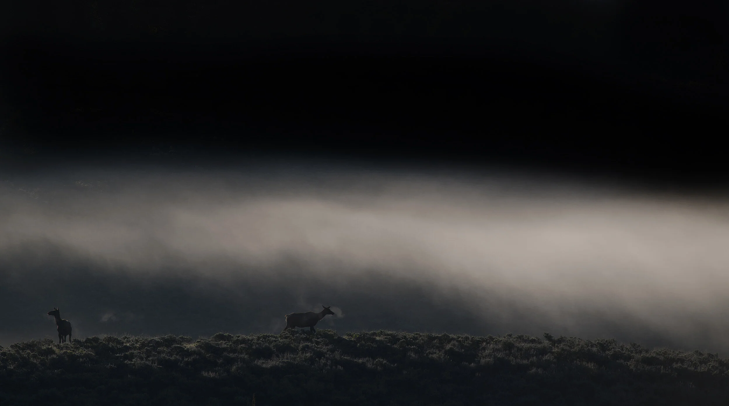  Yellowstone morning. 