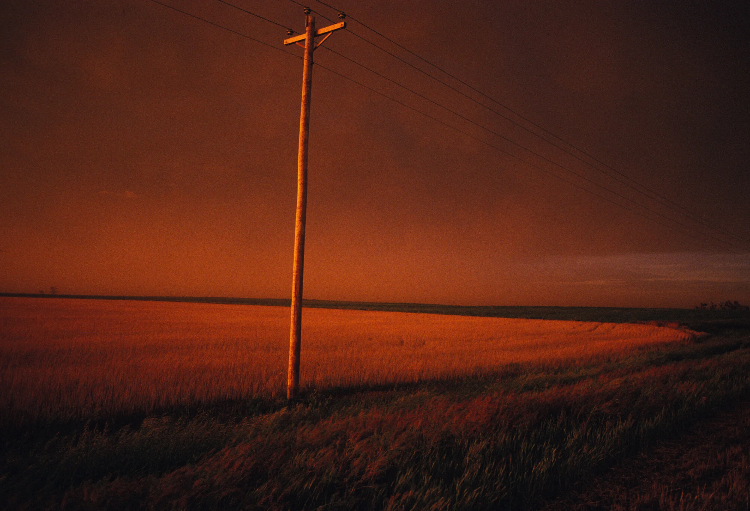 Telephone Pole Dawes County, Nebraska