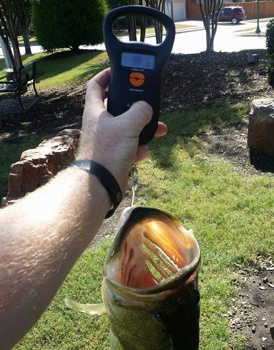 received_10208314489286961 (1).jpeg