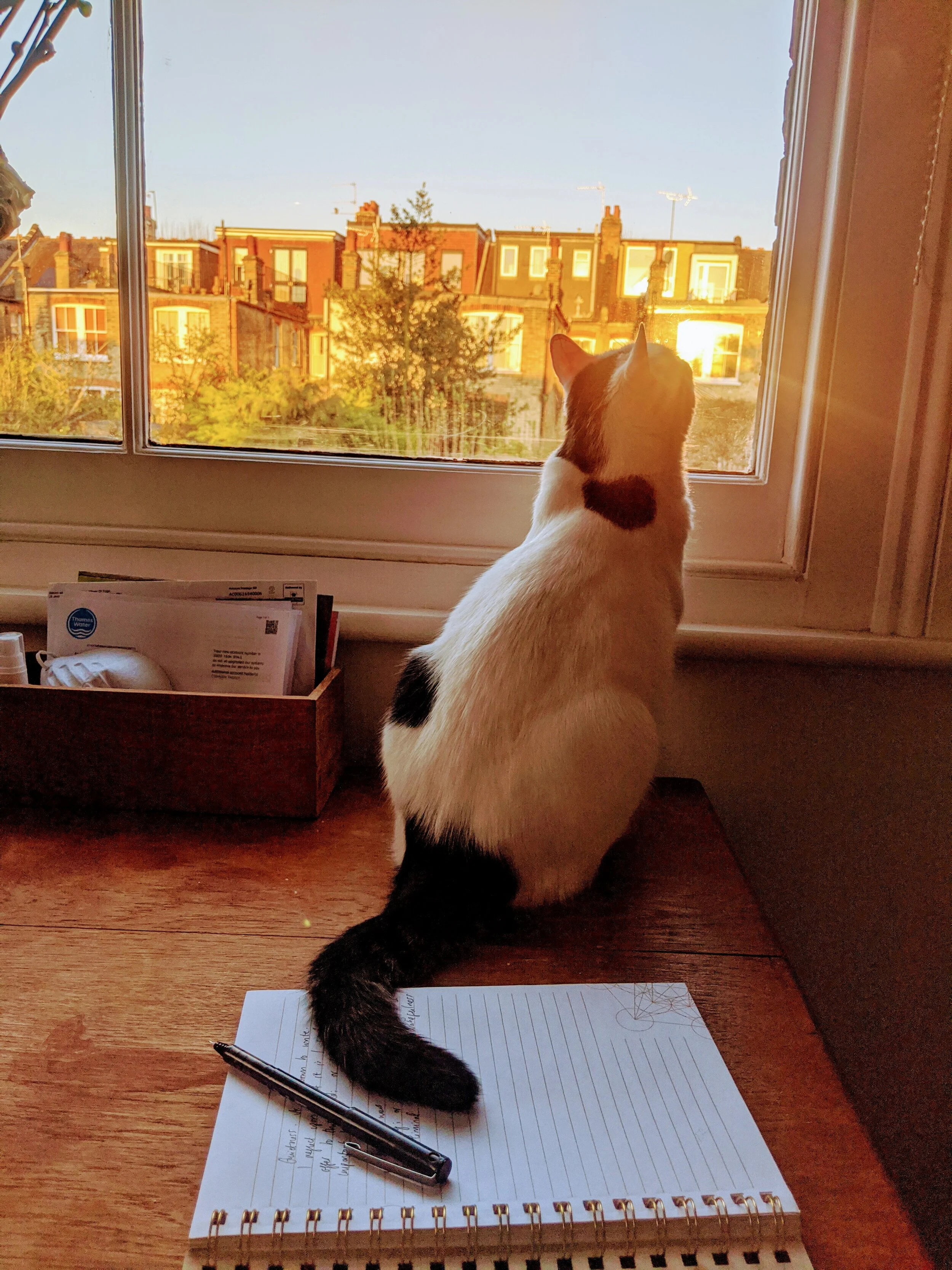 Three simple (and free!) tools to help ground you in the morning