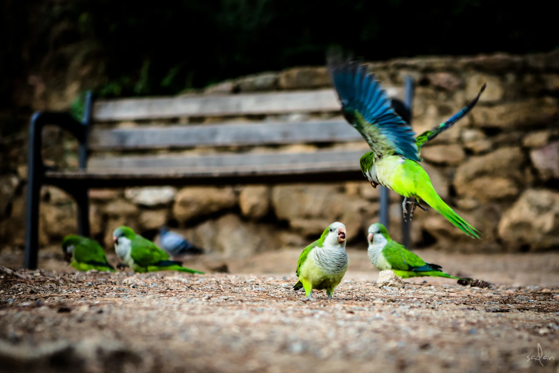 19-barcelona - 55.jpg