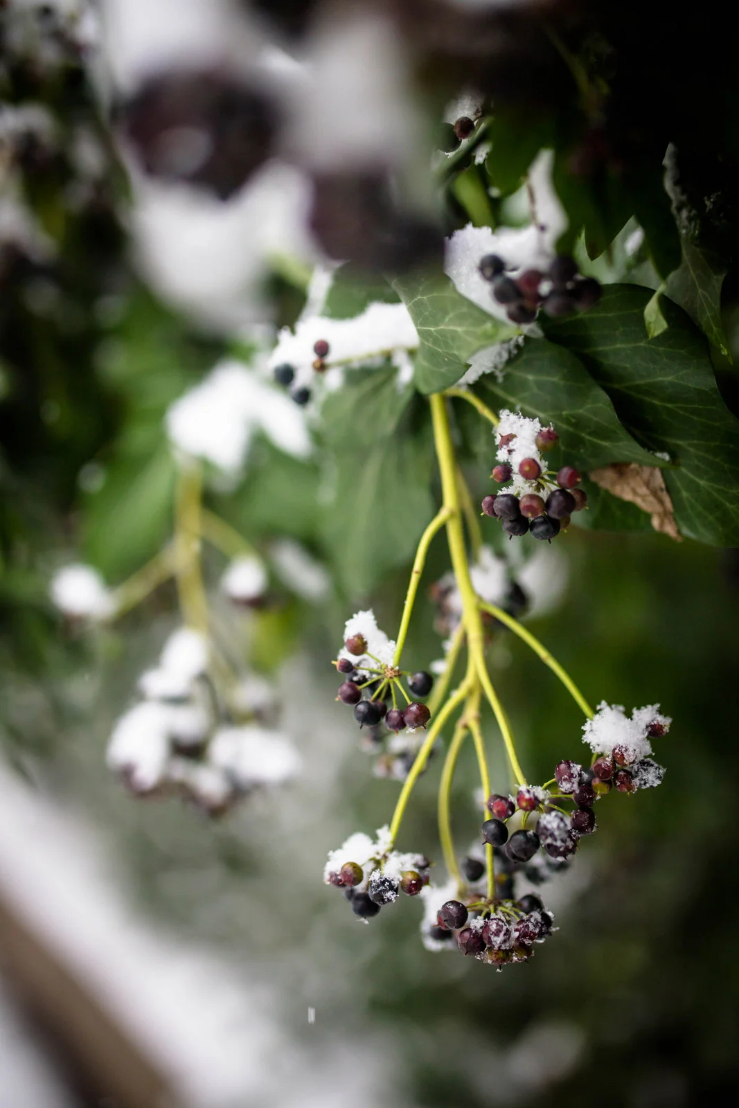 istanbulll - 44 (1 of 1).jpg