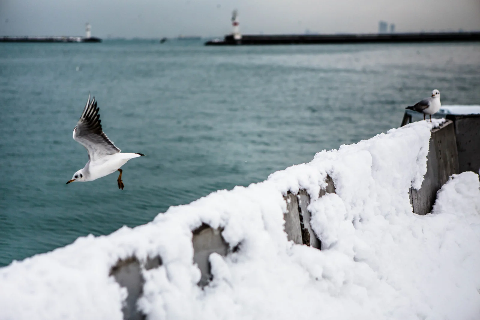 istanbulll - 74 (1 of 1).jpg