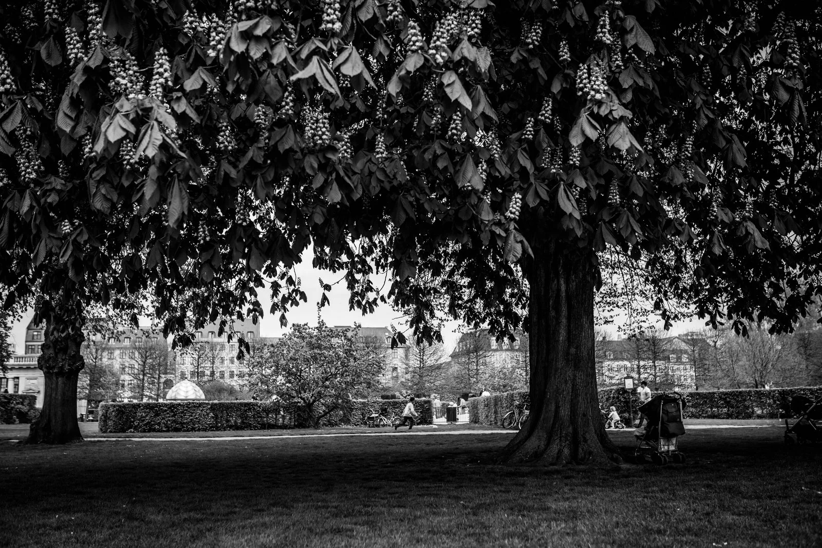 København - 51 (1 of 1).jpg