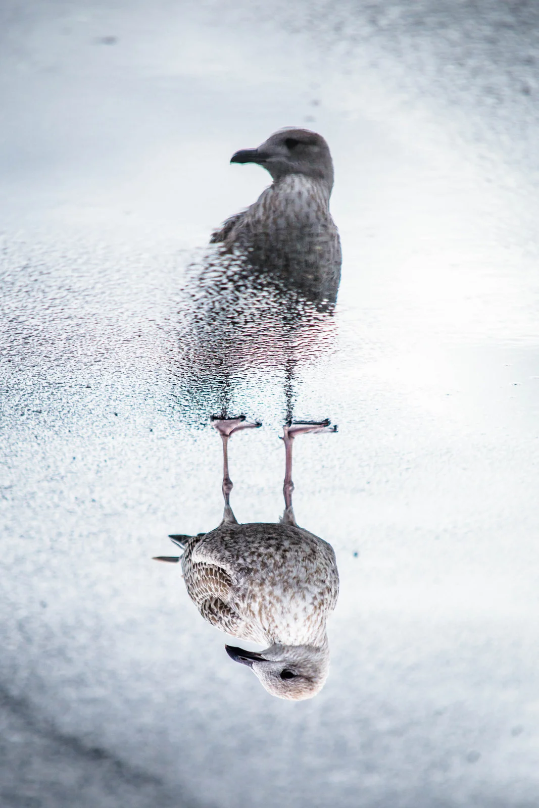 OurwaySeptember - 18 (1 of 1).jpg