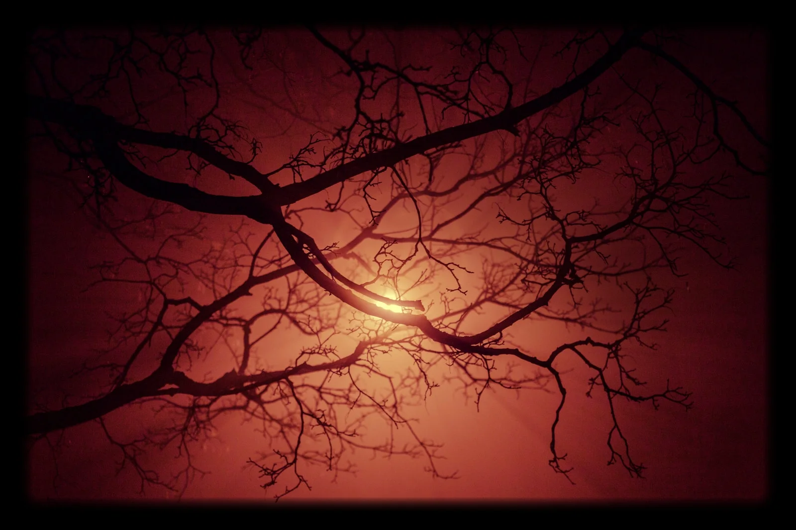 Ushlu - Natt - 1 (1 of 1).jpg