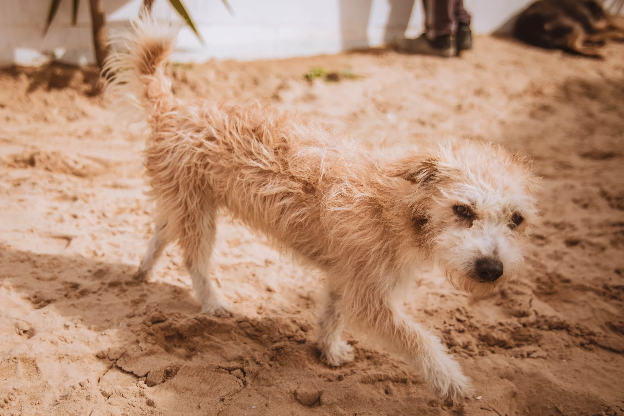 Lisbon - March2022 - 8.jpg