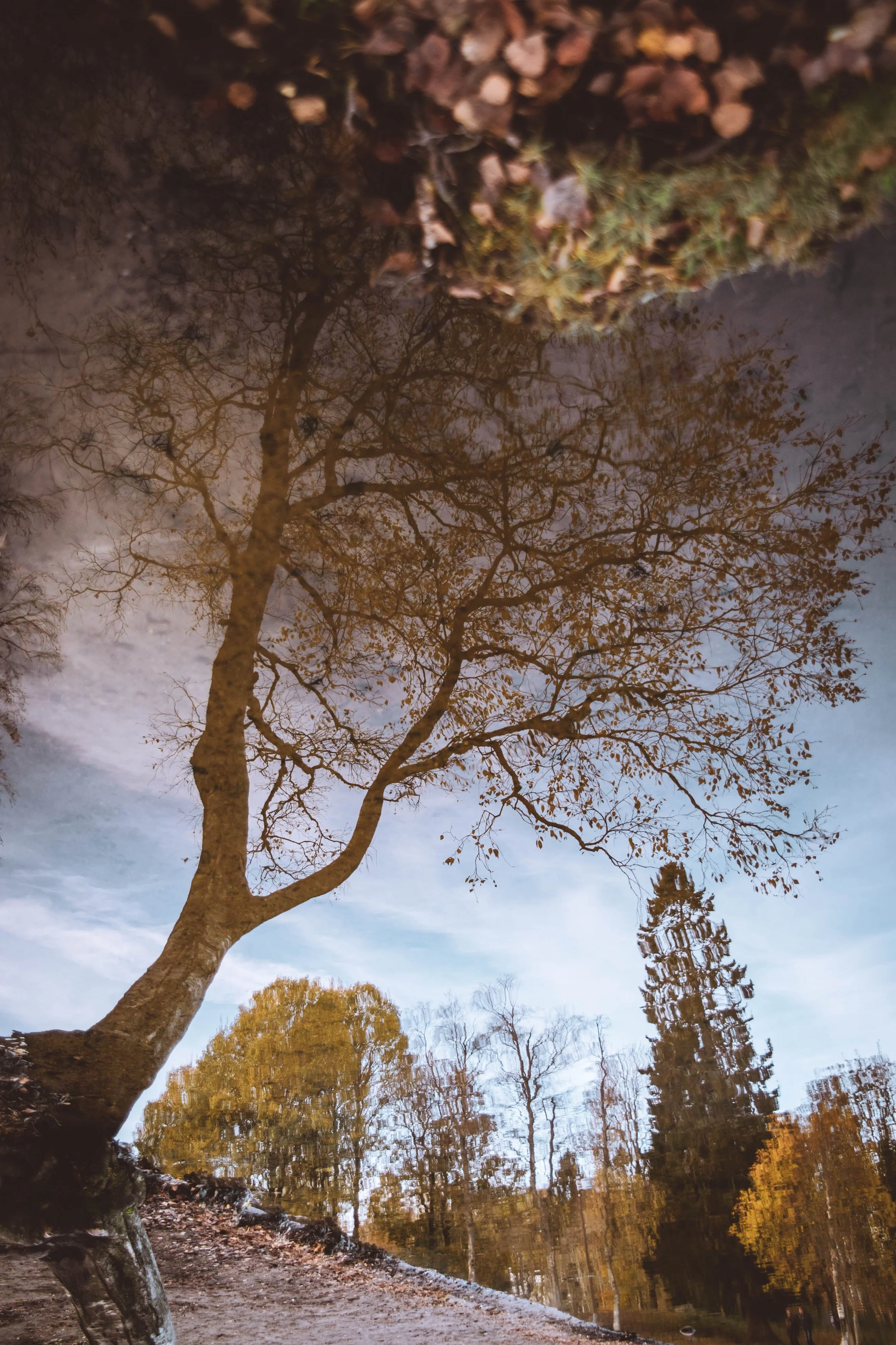 Oslo - Autumn - 76 (1 of 1).jpg