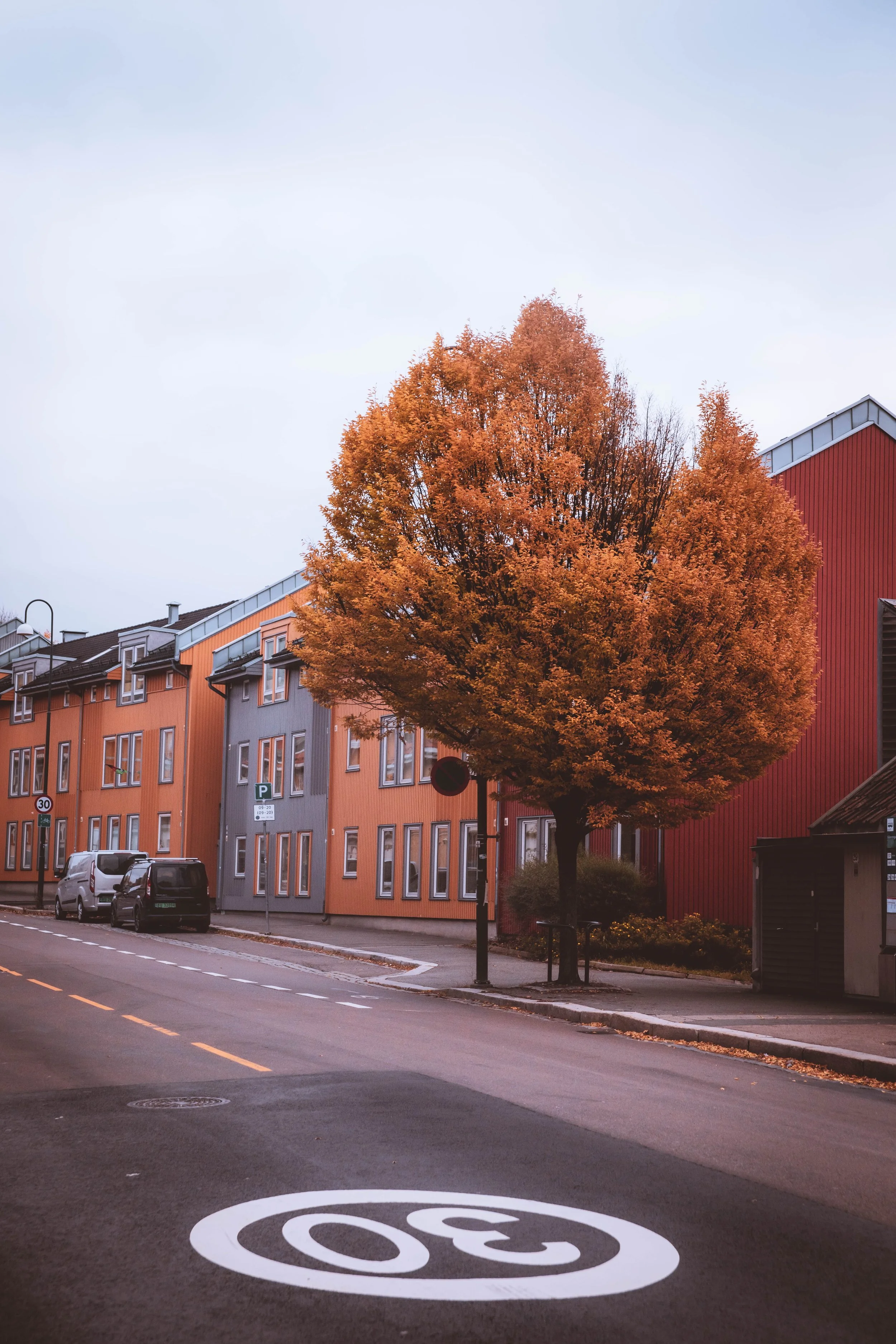 Oslo - Autumn - 2023 - 2 (1 of 1).jpg