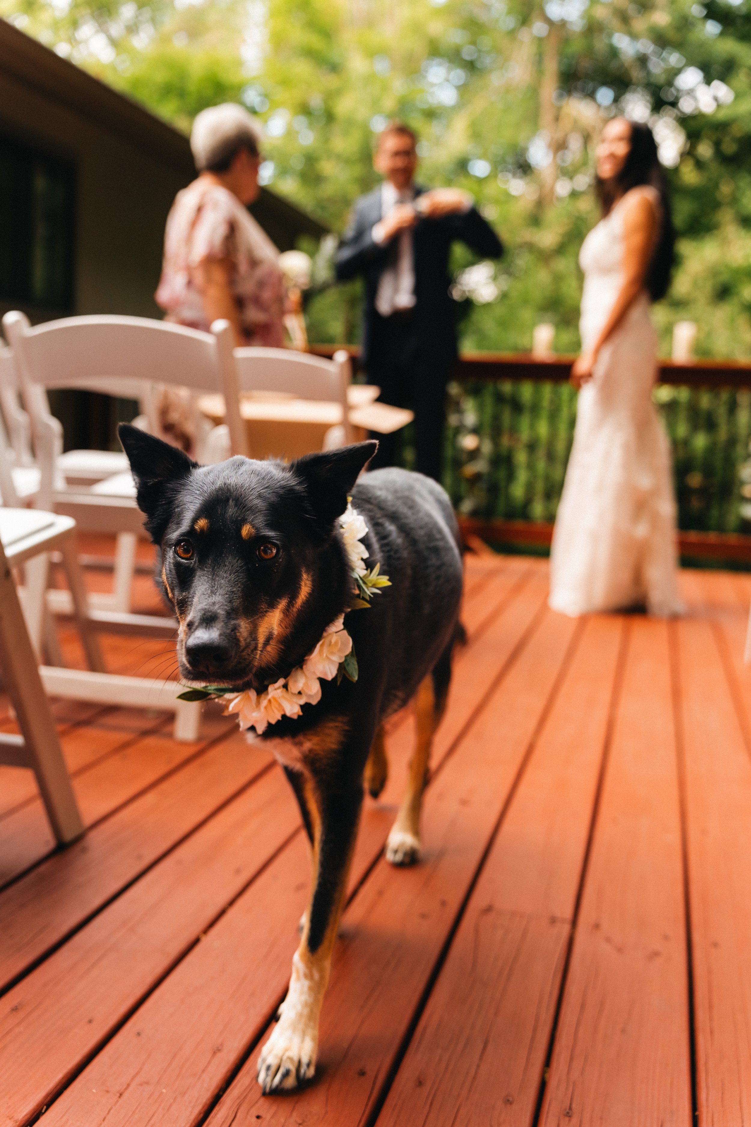 RickBrittanyWedding_web_ngreseth-03704.jpg