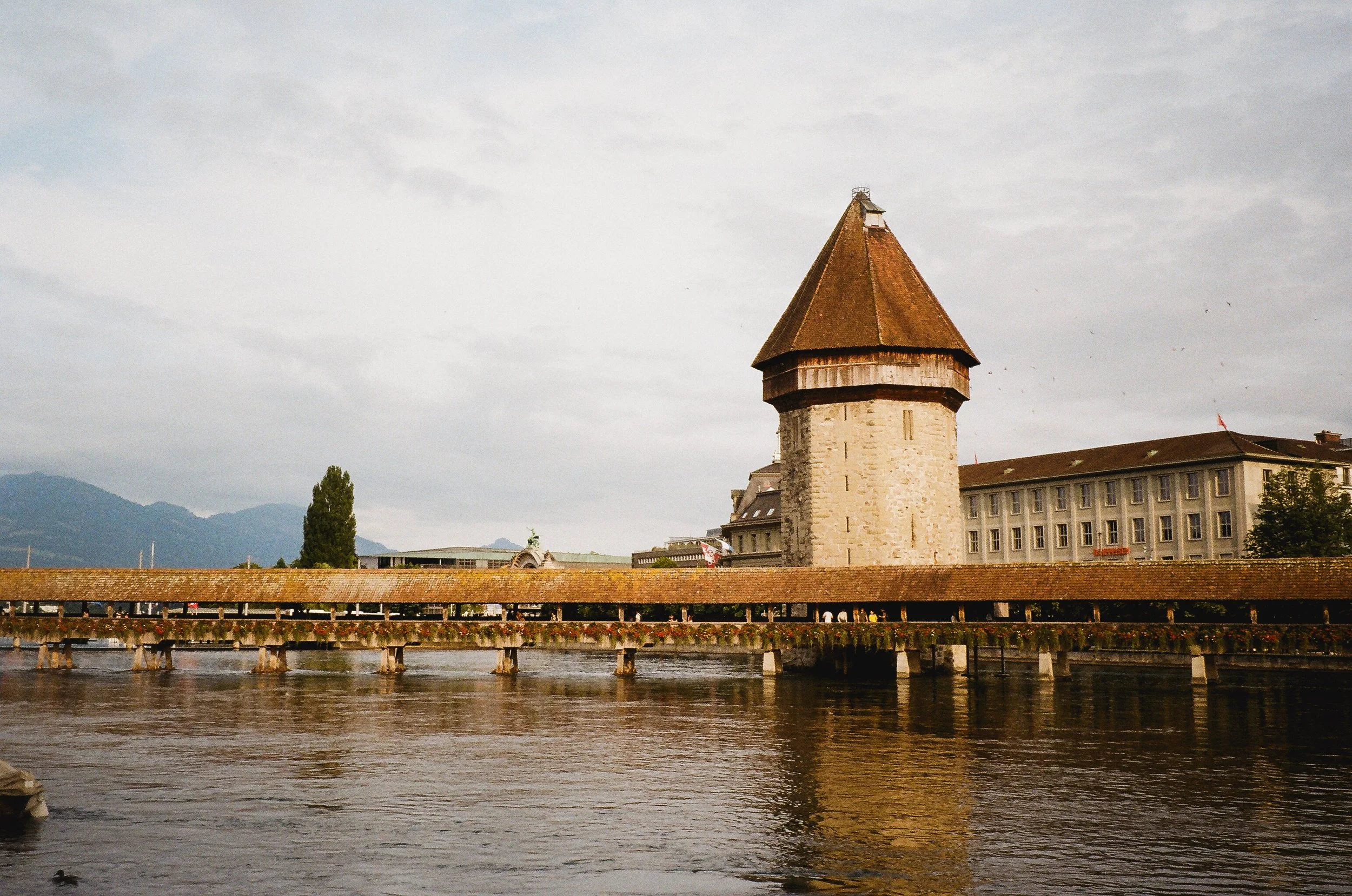 Switaly_ngreseth-99630034.jpg