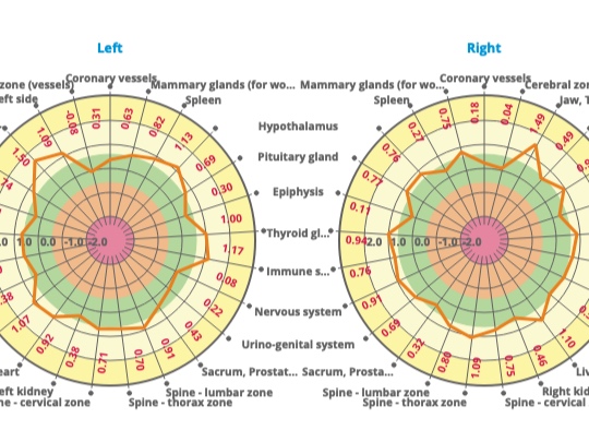 A BioWell Image of Health Status