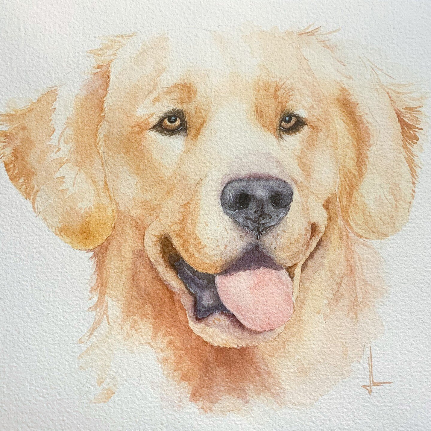 I think the Golden Retriever color palette is my favorite! 😍 I am just about fully booked for spring 2023 commissions! 😮 humbled and grateful for the support of my watercolor work! THANK YOU! 🥹