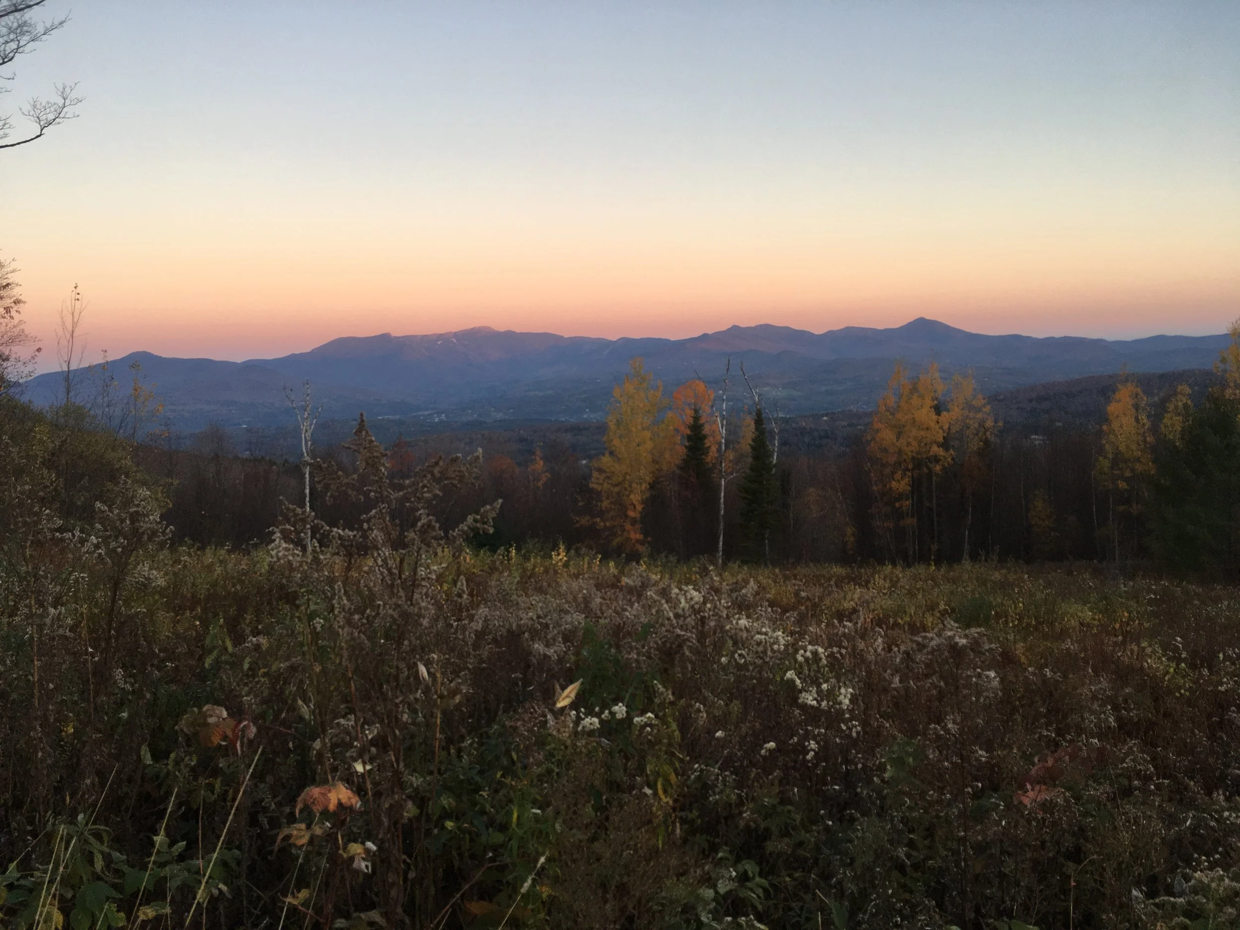 A scenic landscape view at dusk or dawn, showing a wide field of wild brush and autumn trees in the foreground, looking toward a rolling mountain range under a glowing pink and orange gradient sky.