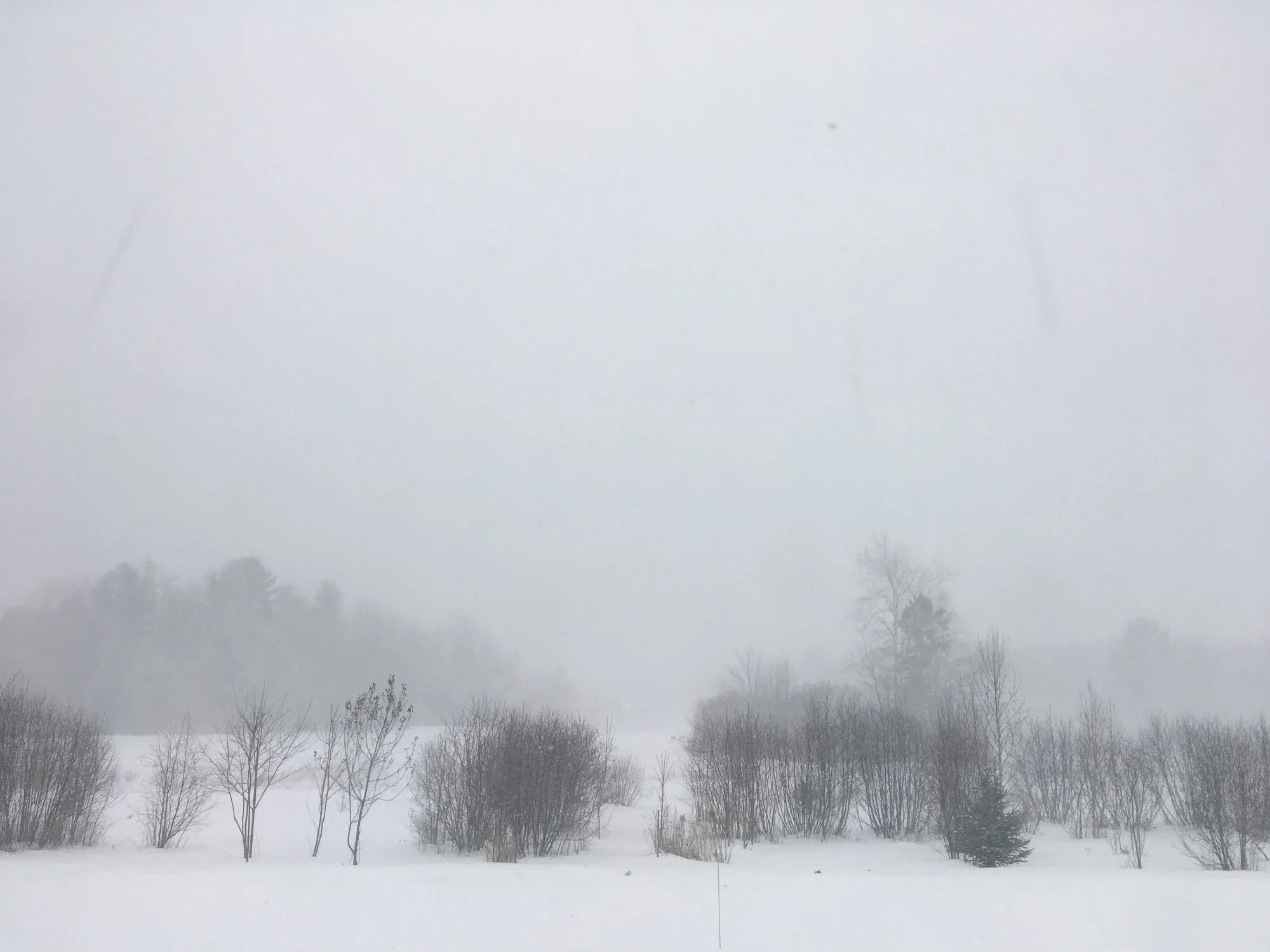 WTRD_web_032.JPG