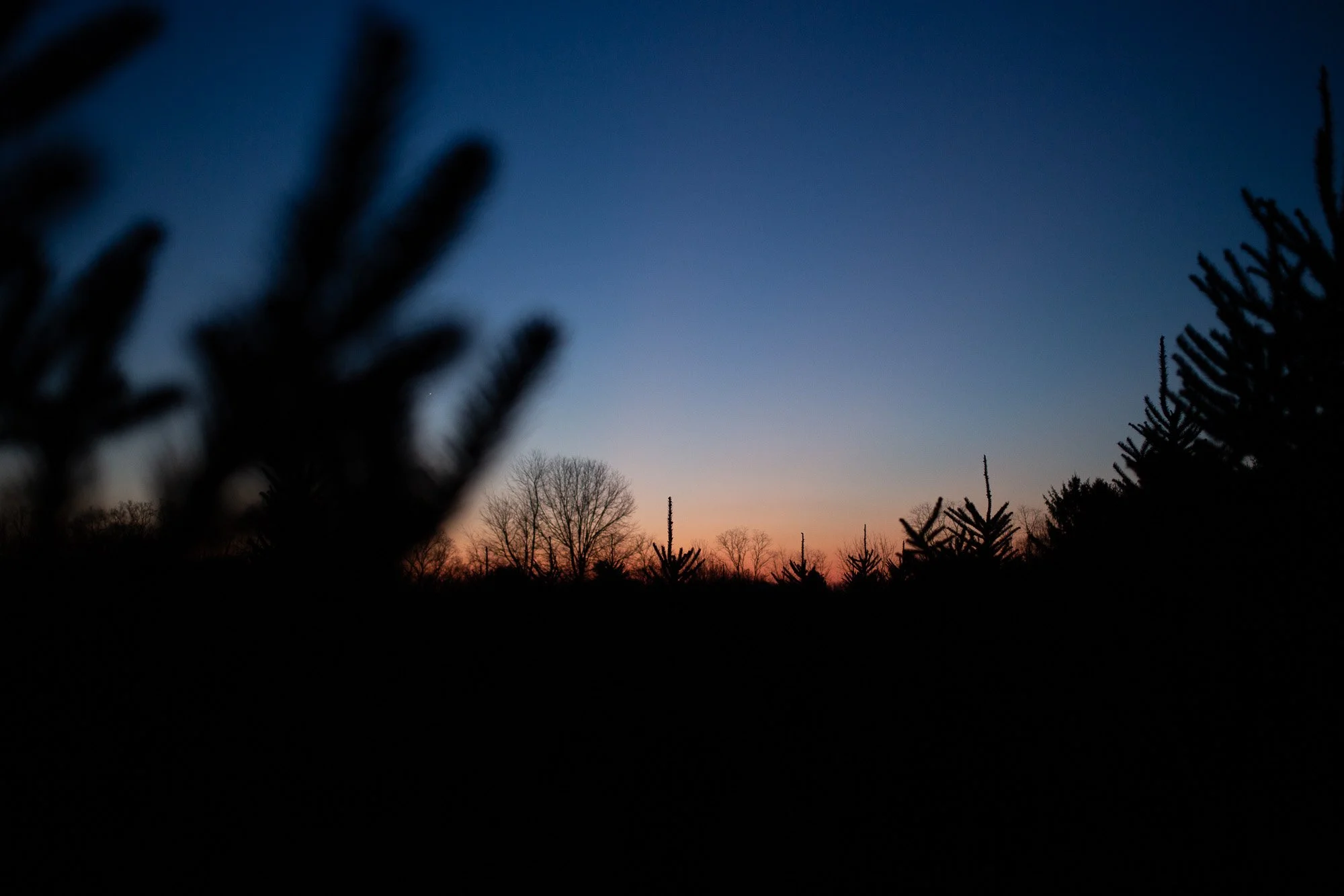 WTRD_web_077.JPG