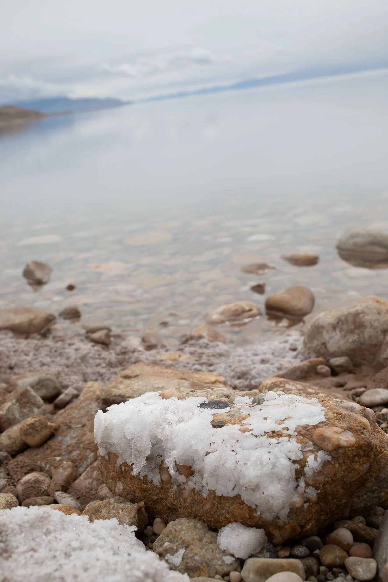 WTRD_web_153.JPG