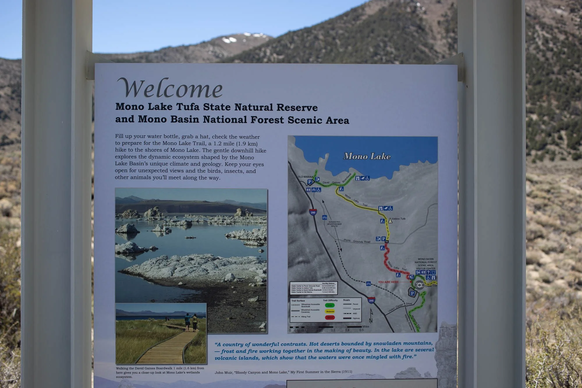 WTRD_web_267.JPG