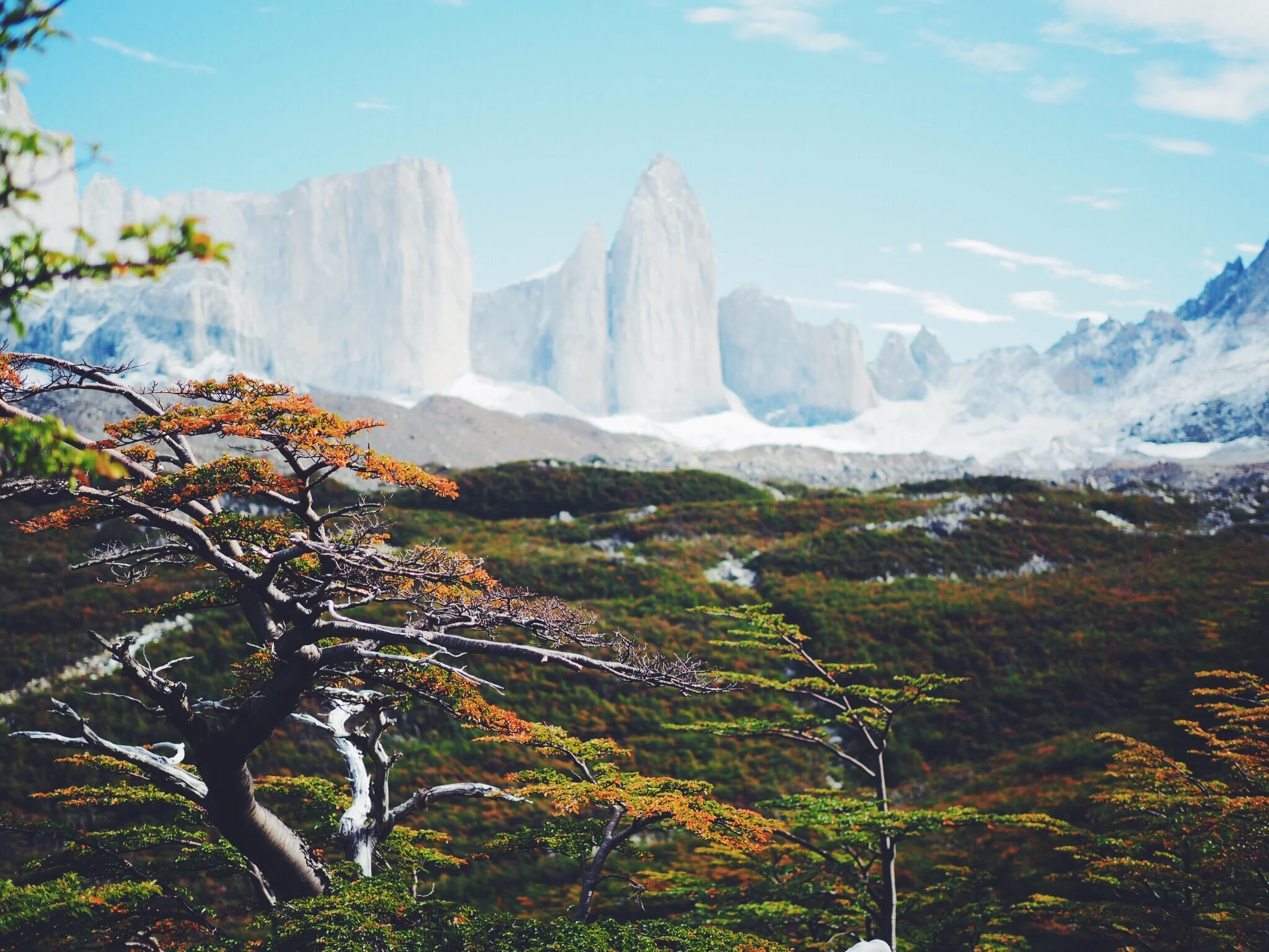 Patagonia — The W Trek