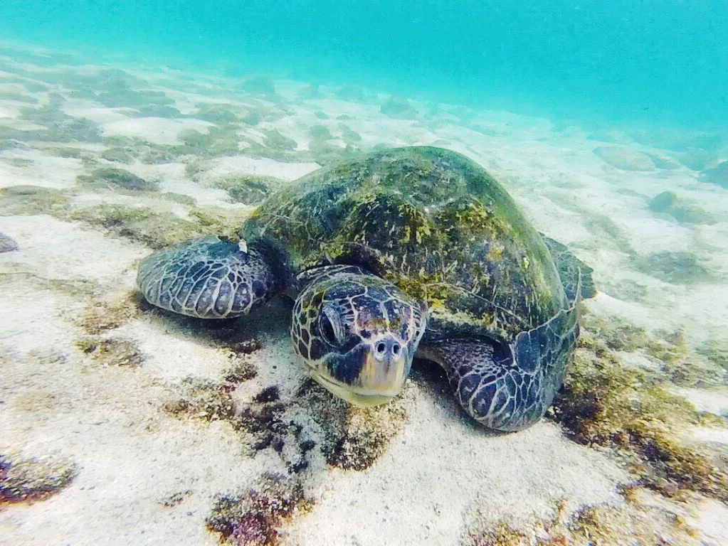 Galápagos Islands – Part 1