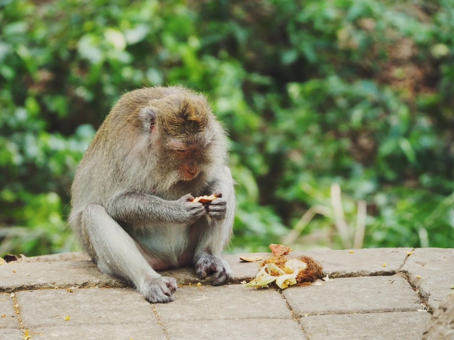 JPEG image-9A23906F34A9-38.jpeg