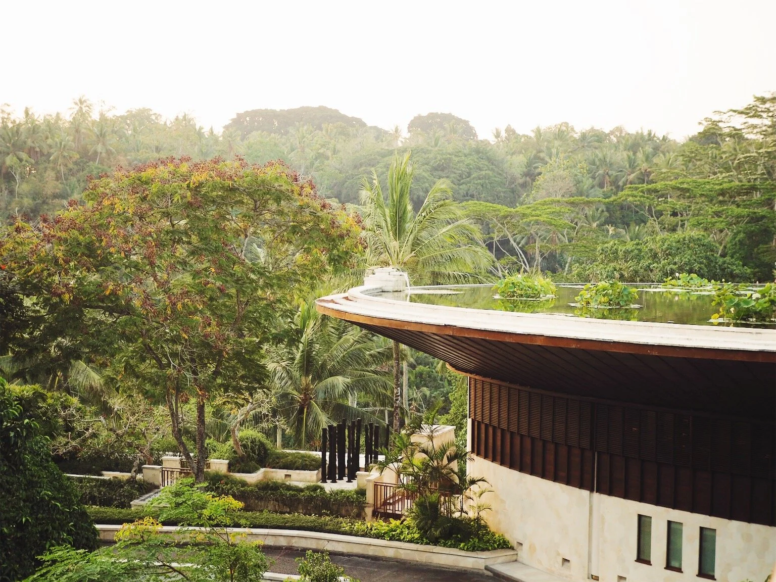 JPEG image-9A23906F34A9-117.jpeg