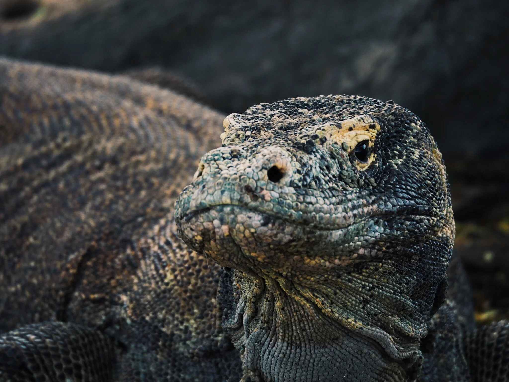 Komodo National Park – Part 1