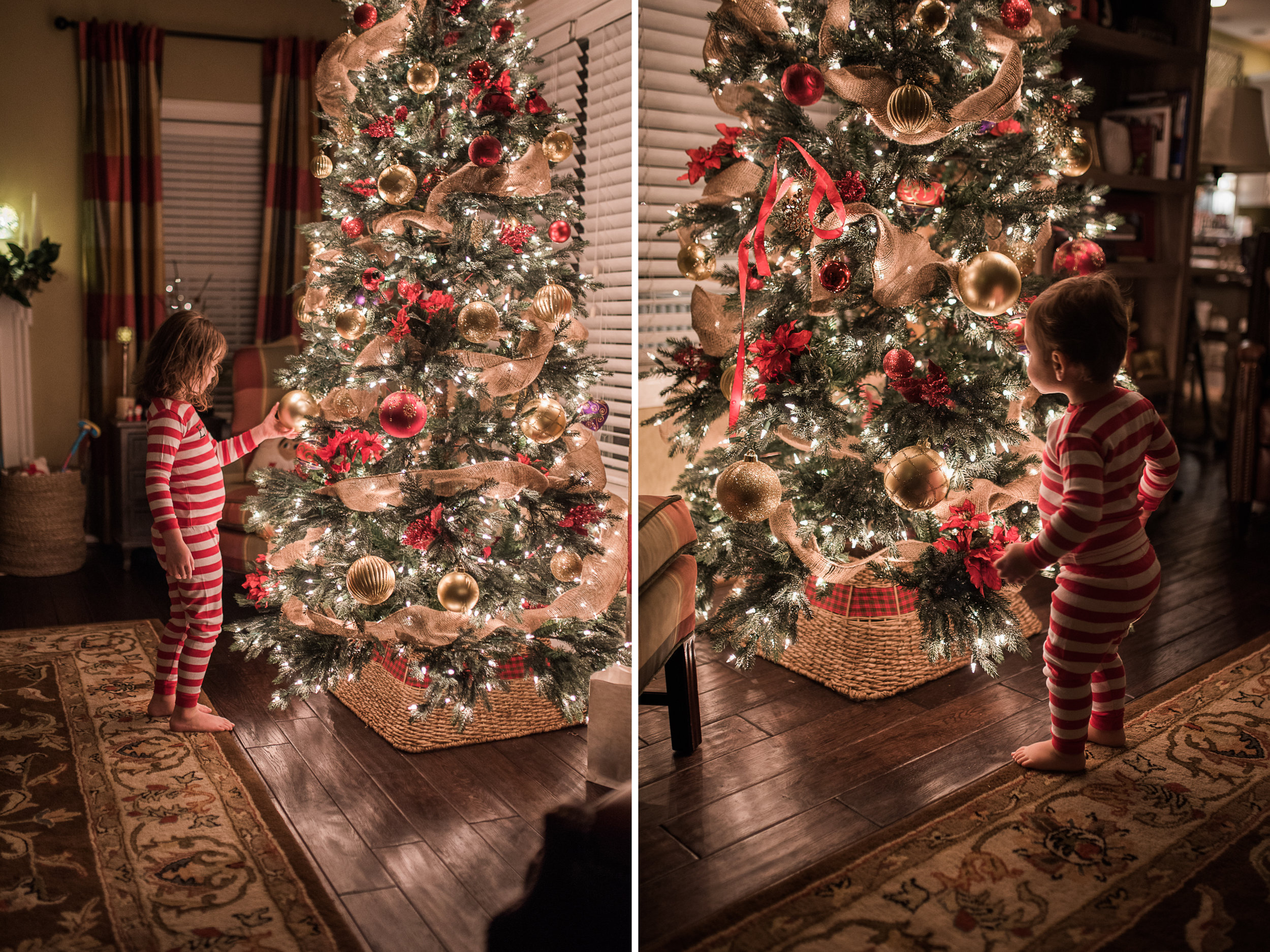 christmas tree picture ideas