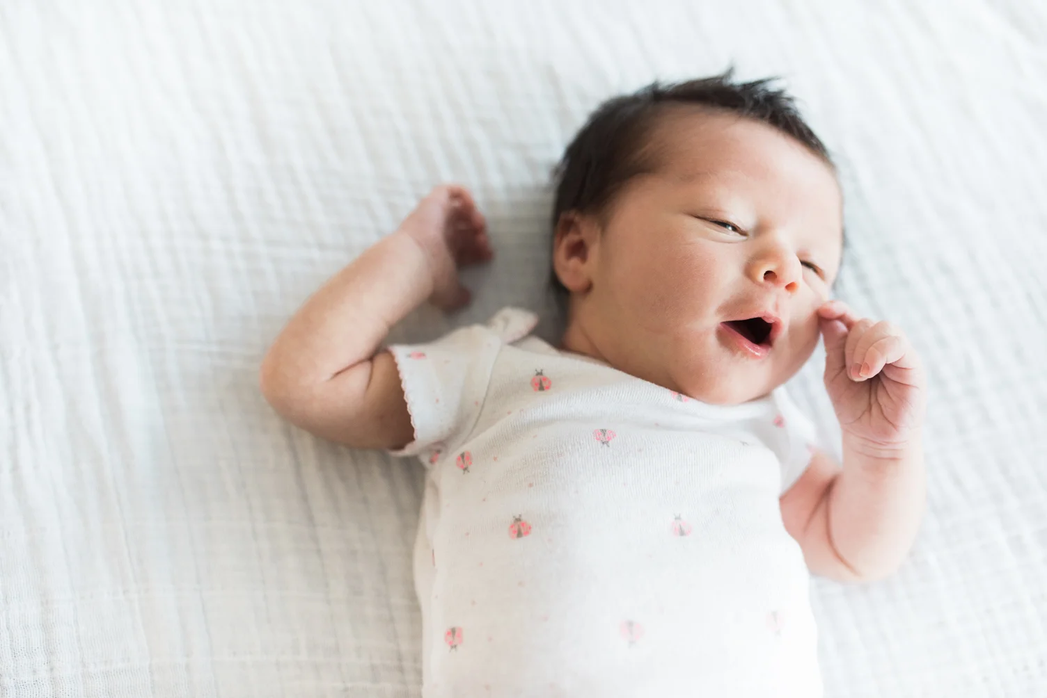 baltimore-harford county-maryland-newborn-lifestyle-photographer-breanna-kuhlmann-80.jpg