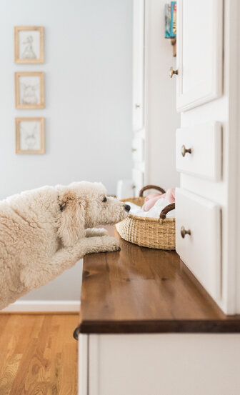 Maryland-Harford-county-Newborn-lifestyle-photographer-BKLP-in-home-session-1.jpg