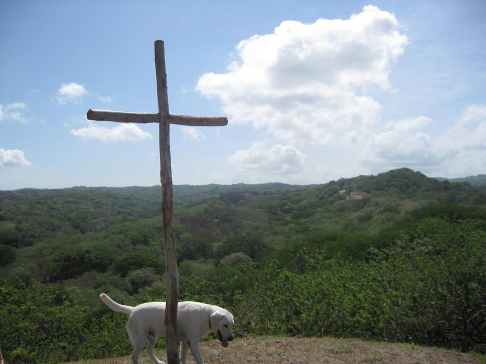 image7.jpeg