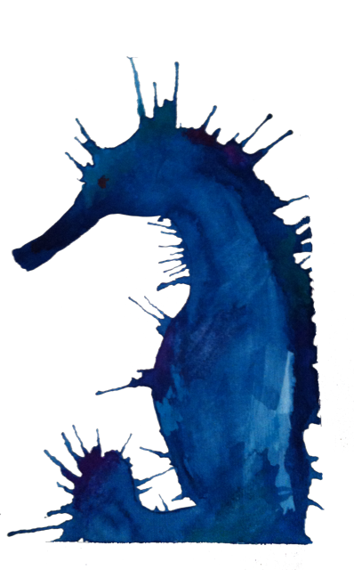 Seahorse .png