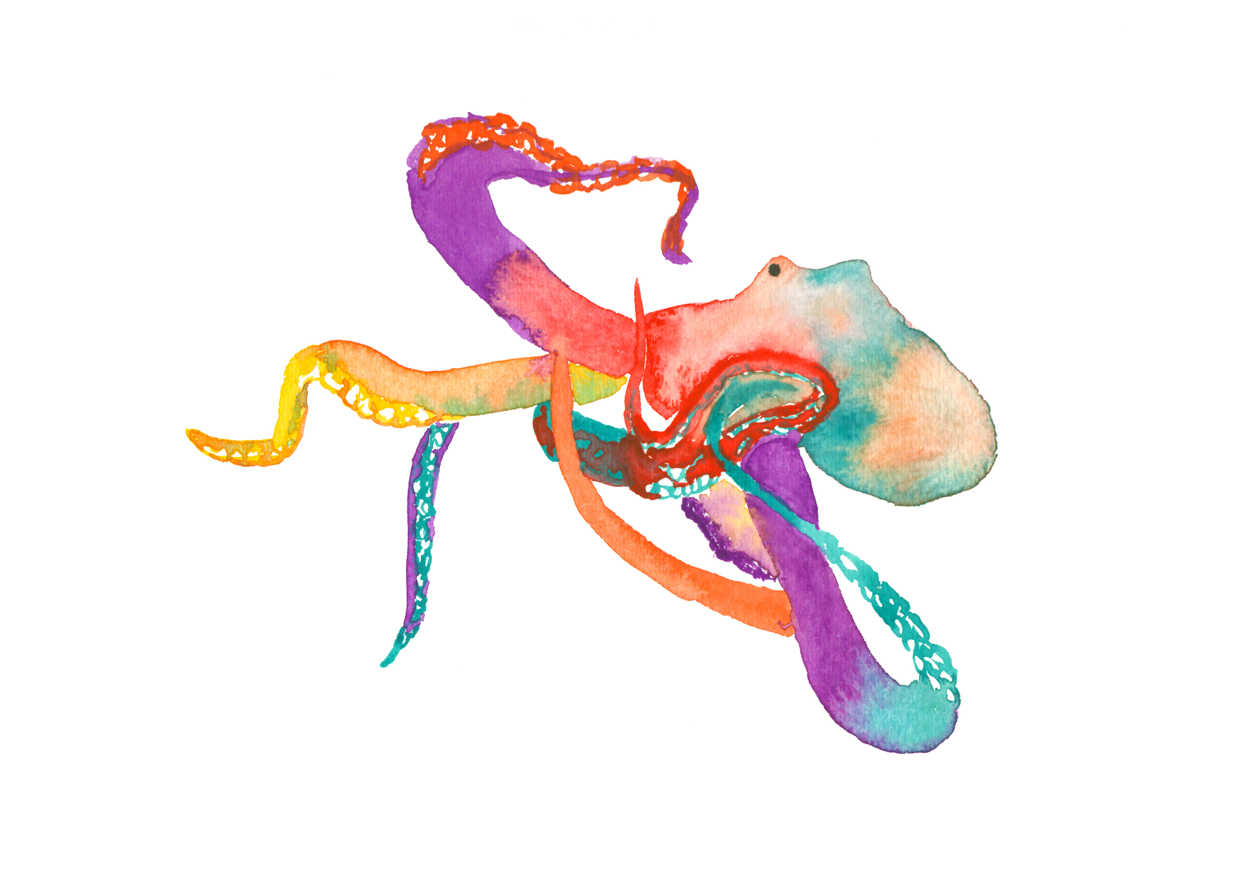 octo6editedvibrantcentered.jpg