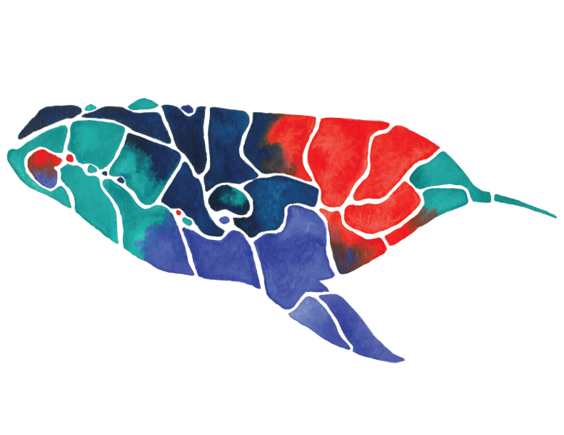 Screen Shot 2016-08-16 at 7.18.11 PM.png