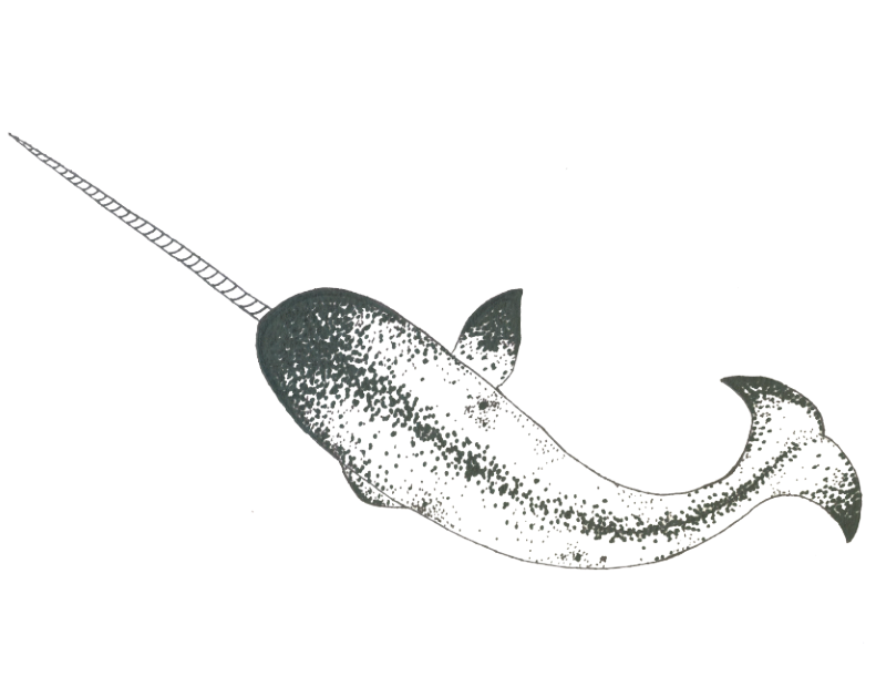 Screen Shot 2016-08-16 at 7.26.59 PM.png